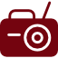 Audio Placeholder